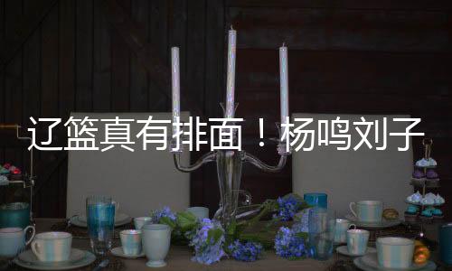 没有办法看一斑而知全貌