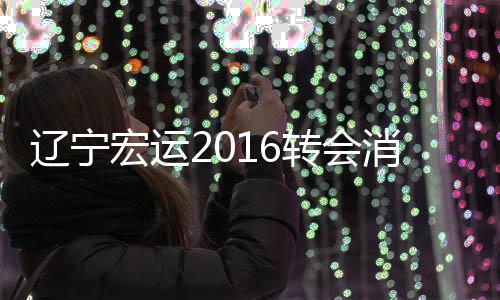 处子赛季累计上阵17场