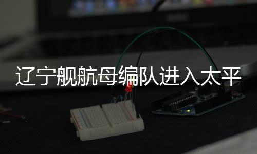 母编进行情报收集和警戒监视