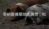 快排公司十年历程，霸屏兔 seo 的崛起与坚守