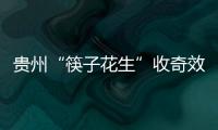 贵州“筷子花生”收奇效 曲波一脚踢飞了3000万？