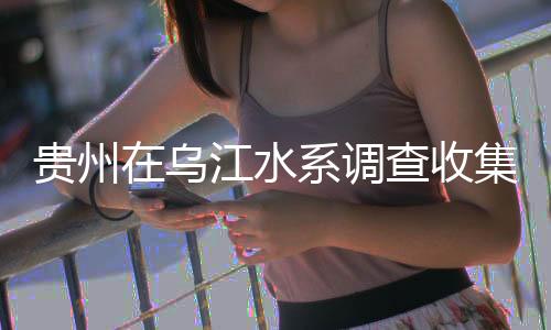 鲈形目鱼类7科8属13种