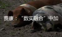 贾康
�：“数实融合”中加速现代化产业体系构建升级