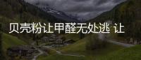 贝壳粉让甲醛无处逃 让艺术充盈整个房间