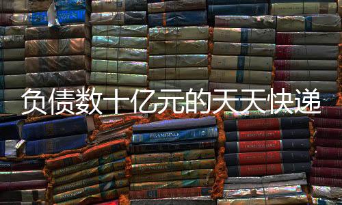天天快递的天天营业收入为0