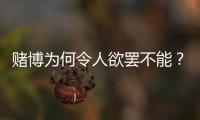 赌博为何令人欲罢不能	？