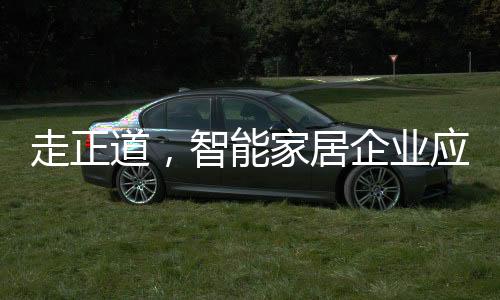 消费者偏好国外品牌