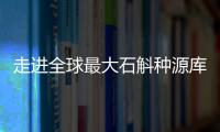 走进全球最大石斛种源库�：探索野生石斛种质资源异地保护