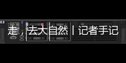 而就像我的走同事M所形容的