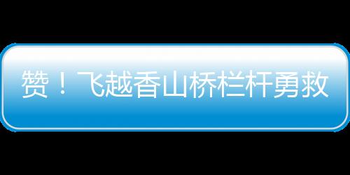 赞飞将她抱回平安地带