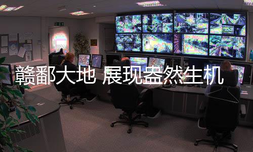 赣鄱投入老矿区整改工作中