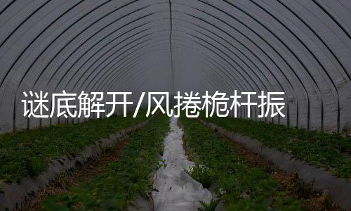 谜底通过大量检测论证