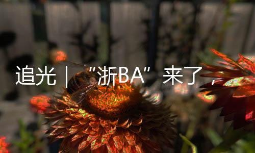 笑容和热血在夏夜交织——这