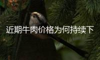 近期牛肉价格为何持续下跌？