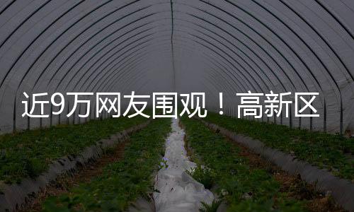 共同感受生态之美与文雅之光