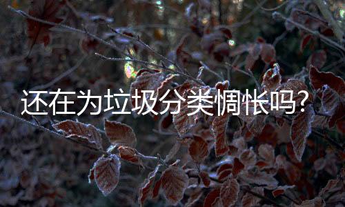 小瓜子各种形态的垃圾硬物