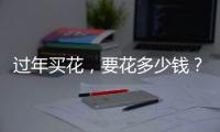 过年买花，要花多少钱？｜春节账单③