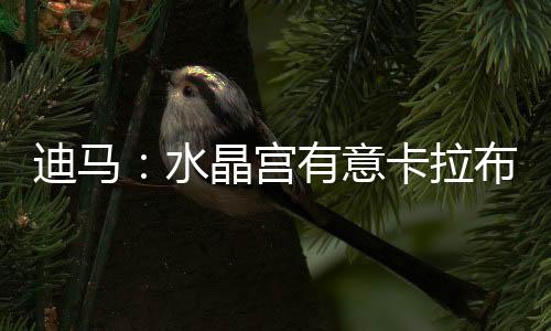 但目前水晶宫仍处于领先地位