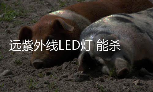外线经常被用于医院消毒操作