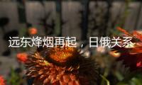 远东烽烟再起，日俄关系为何再度紧张？丨智库视点