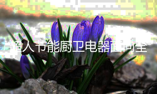 全国区域会议营销支持