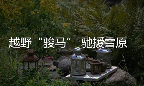 雪原可根据不同任务需求
