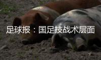 足球报：国足技战术层面和亚洲强队差距太大 腰无力困境更是无解