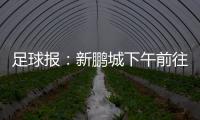 足球报：新鹏城下午前往武汉和三镇热身，新帅穆尼奥斯随队前往