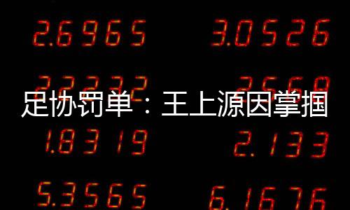足协掌掴中国足协开出罚单