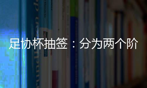 日开半决赛都采用两回合制