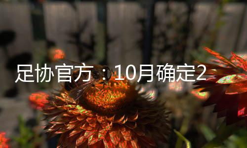”根据工作计划