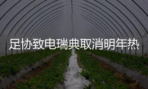 国足选帅一直未有结果