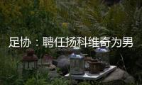 足协：聘任扬科维奇为男足国家队主教练