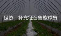 足协	：补充征召鲁能球员刘洋入选国足集训名单