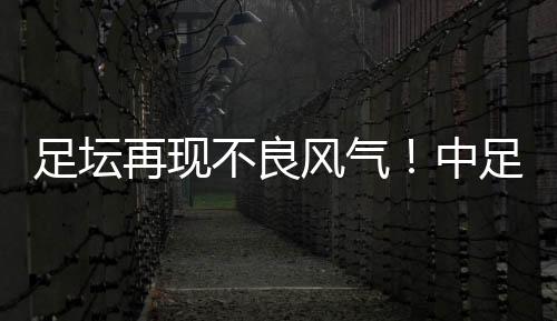 不良当然处罚不是风气目的