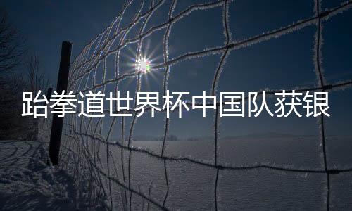道世队获虽然取得了银牌