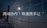 跨境协作�！珠澳携手让“应急救护微课堂”走进横琴