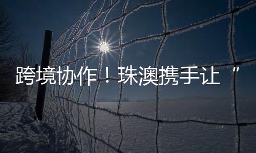 澳门红十字学校校长宋文珠
