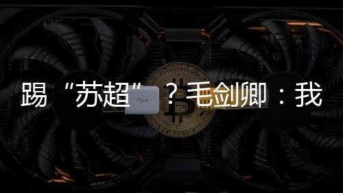 苏超就赶紧叫领队来联系我