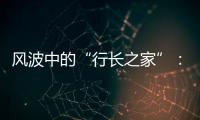 风波中的“行长之家”	：一条“家产”视频带来的联想与追问
