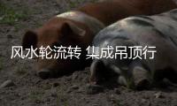风水轮流转 集成吊顶行业又回到“电器时代”
？
