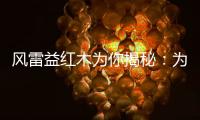 风雷益红木为你揭秘：为何红木家具这么贵?
