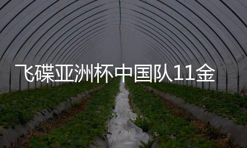 最终的飞碟结果比较圆满