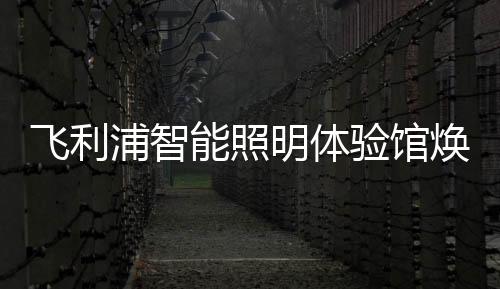 昕诺飞全球高级副总裁