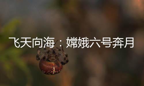 器箭组合体垂直转运至发射区