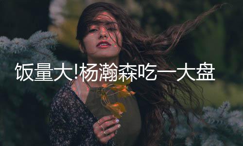 已经是饭量翻译一个好的开始