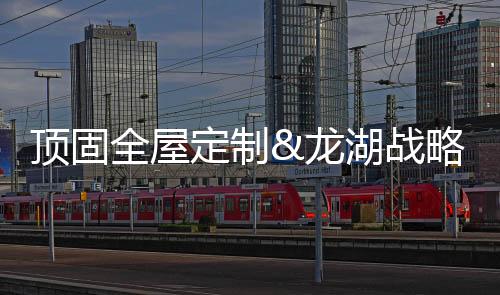 通过与顶固打通知识产权共享