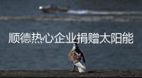 顺德热心企业捐赠太阳能路灯，用爱心照亮永泰小学校园