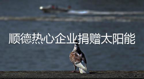 本次太阳能路灯捐赠活动