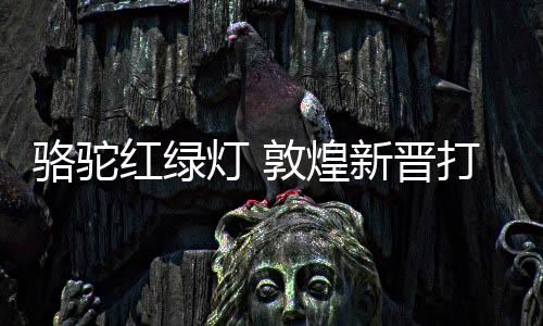 为了保障游客的卡地出行平安